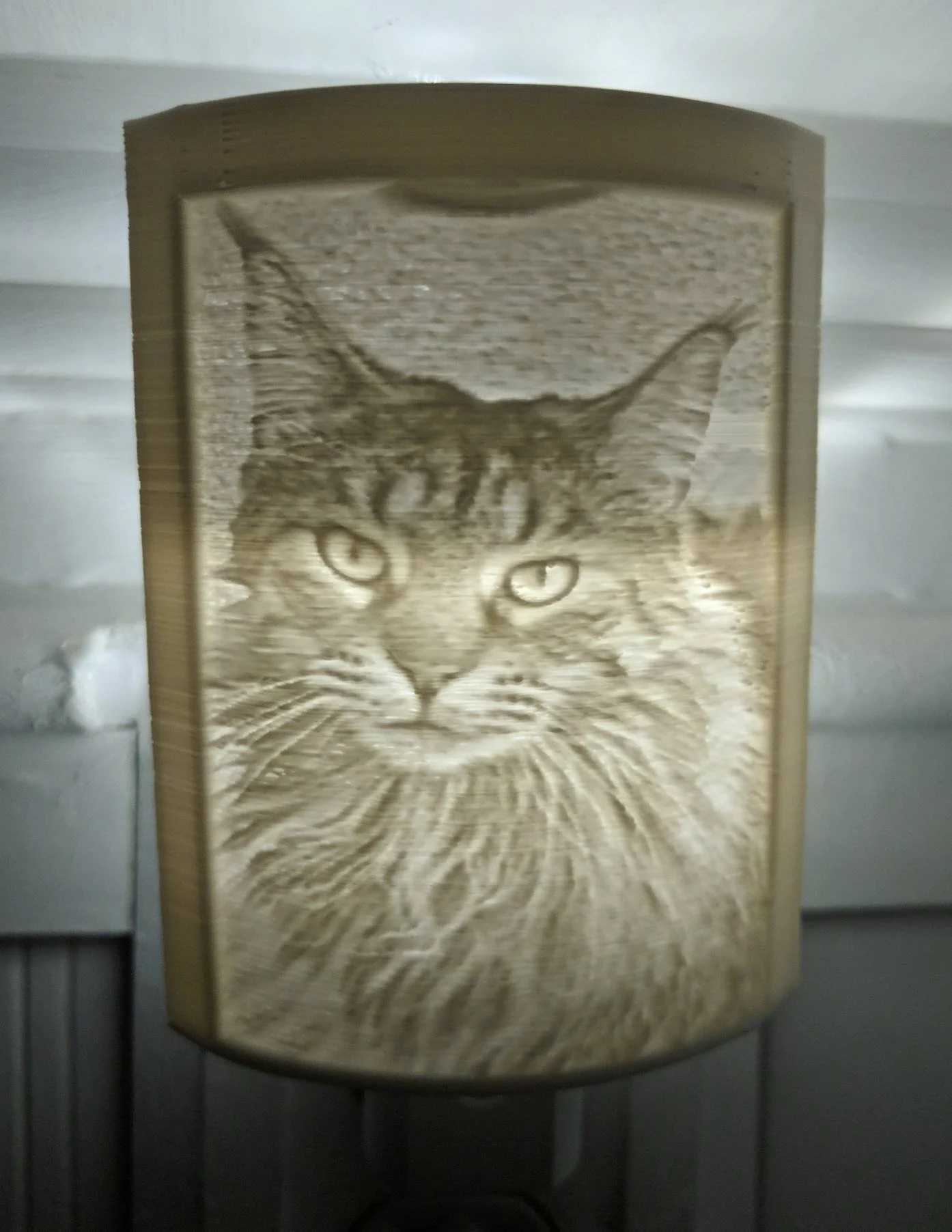 Boo Boo cat memorial night light, glowing portrait with hearts