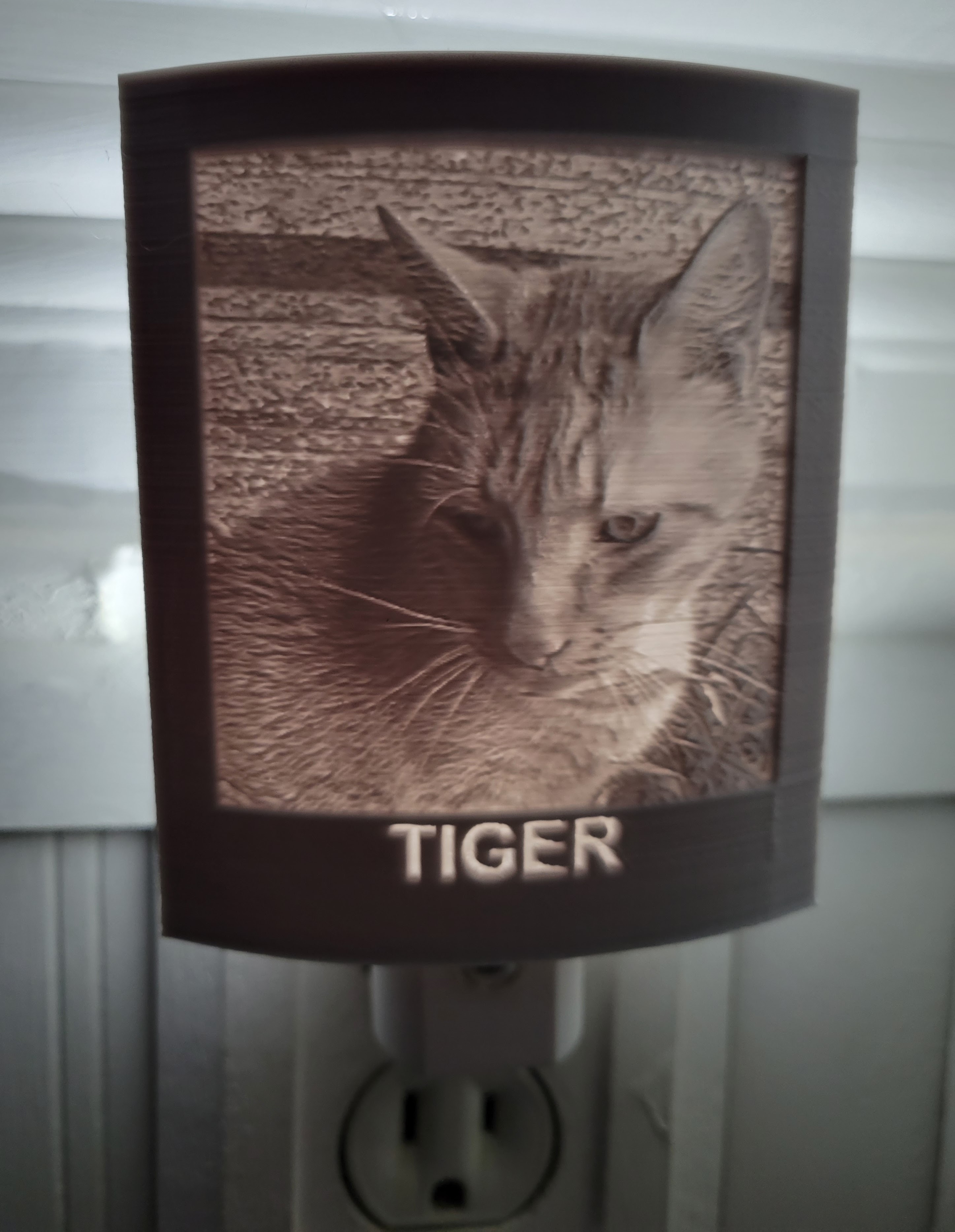 Tiger cat memorial night light, name only, no heart