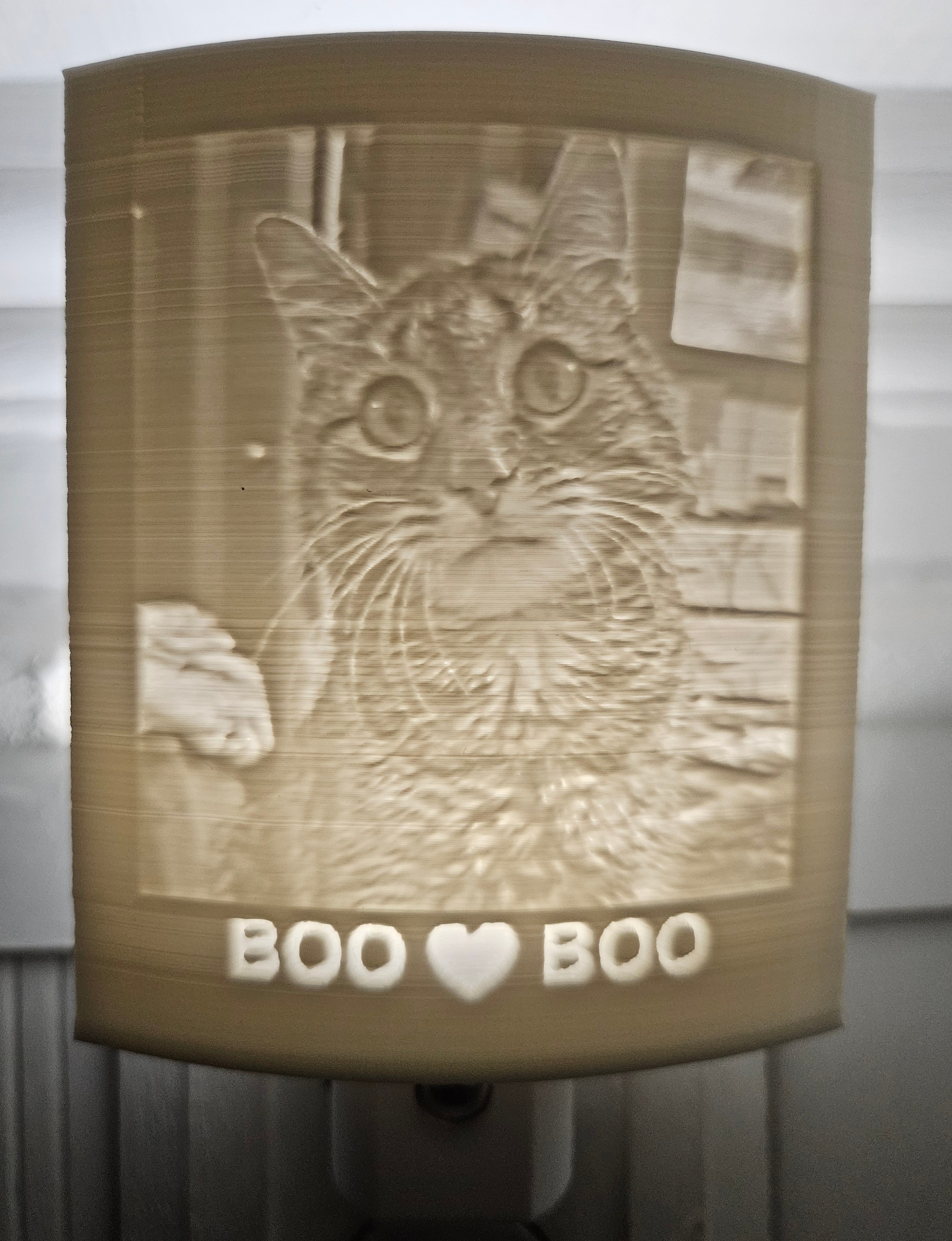 Boo Boo glowing portrait