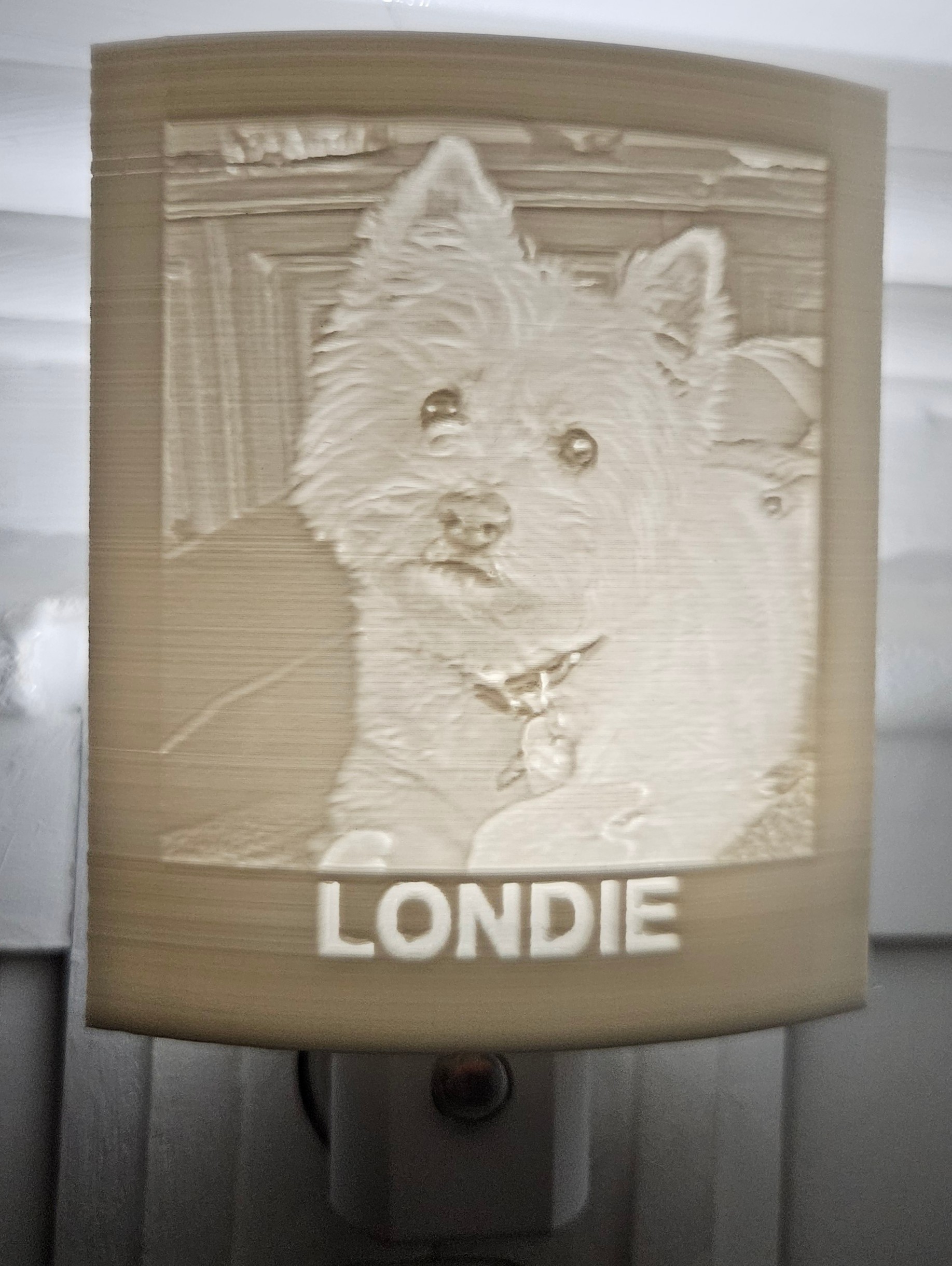 Pet memorial night light