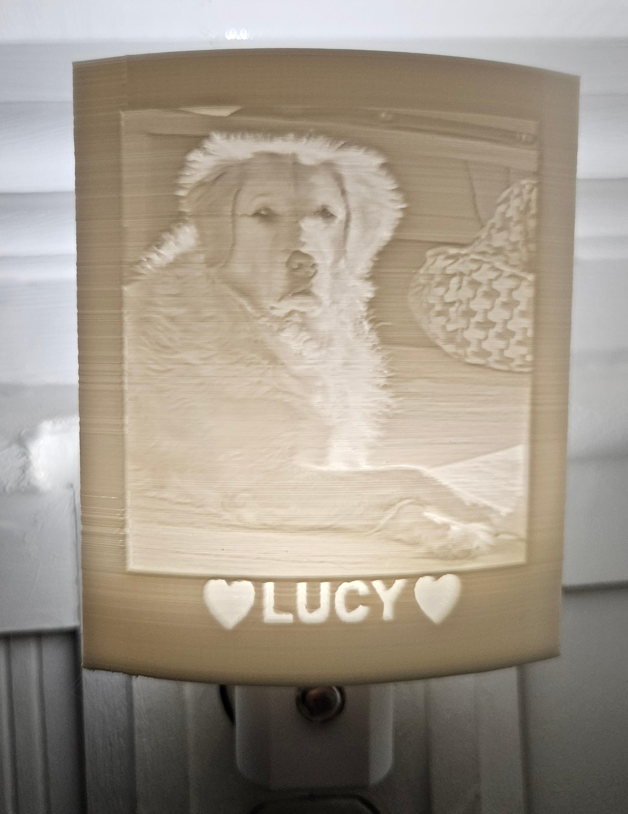 Dog memorial night light - name only thumbnail