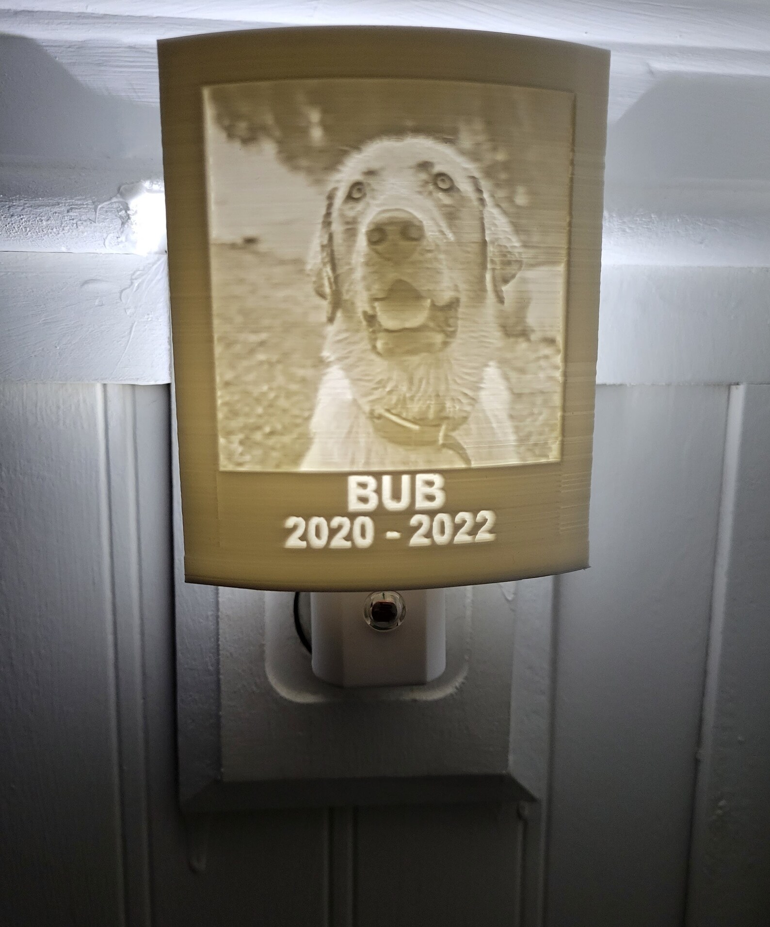 Bub dog memorial night light glowing