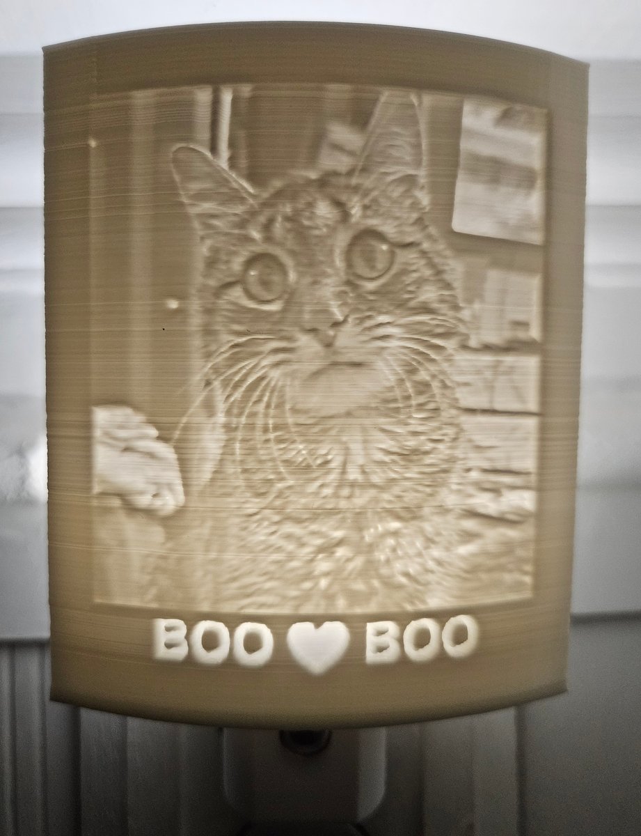 Boo Boo cat memorial night light